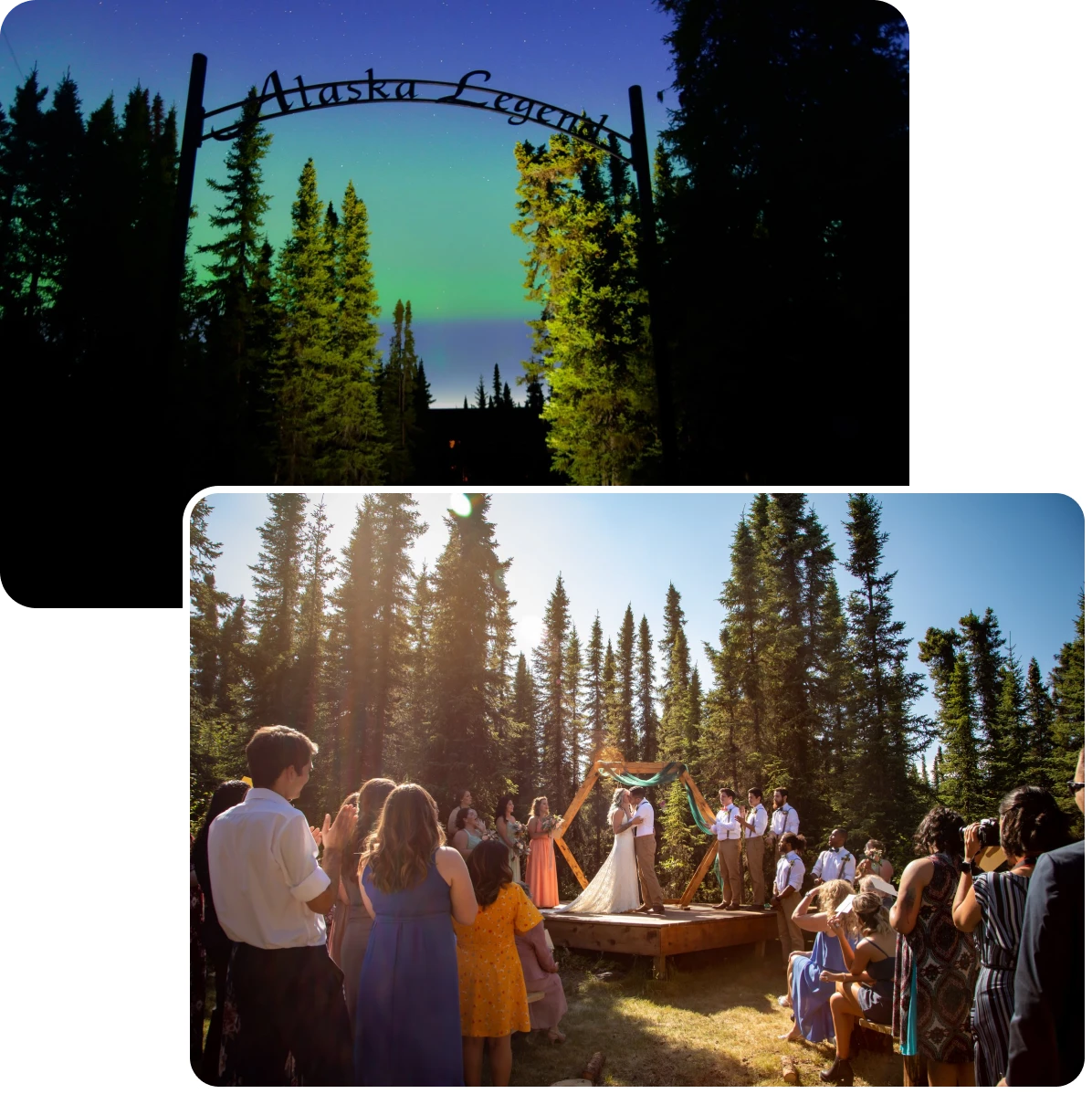 Guests attending forest wedding ceremony