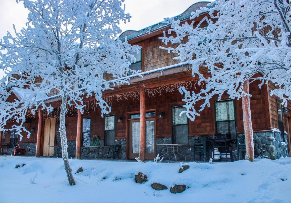 Rustic home with snow-laden branches
